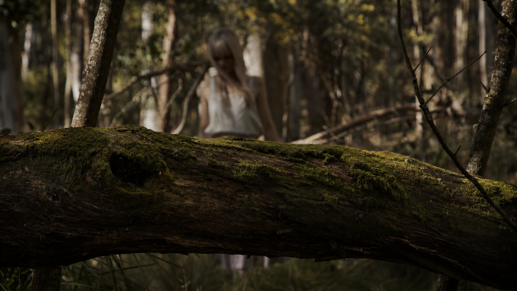 A softly blurred figure beyond a moss-covered fallen tree in dark woodland